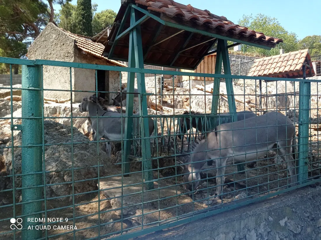自然历史博物馆与动物园,斯普利特