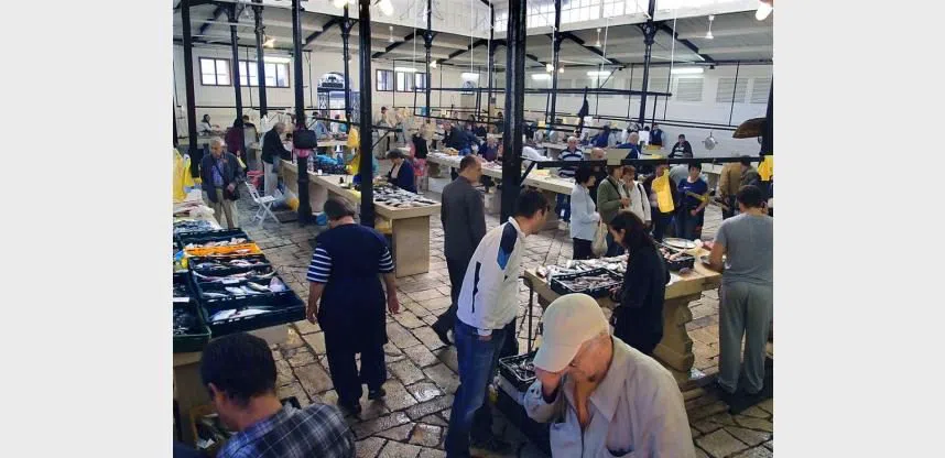 Peškarija (Split Fish Market), Split